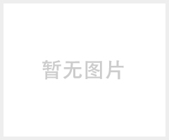 2015版中国药典 氨基酸专用柱